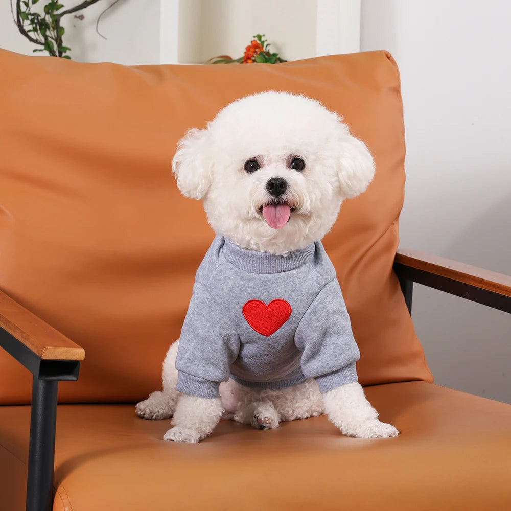 Moletom Pet de Inverno para Gatos e Cachorro Pequeno – Roupa Quentinha com Capuz para Yorkshire, Poodle e Filhotes | Conforto e Estilo