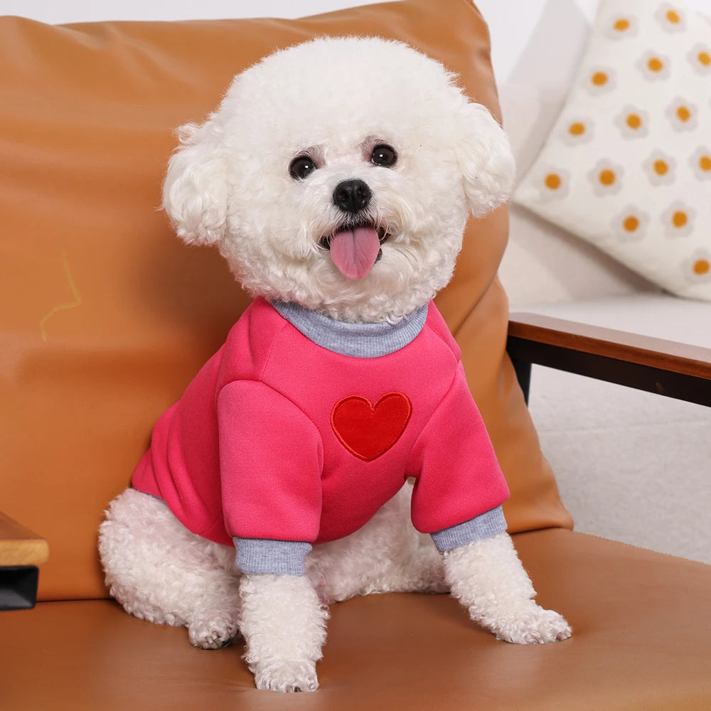 Moletom Pet de Inverno para Gatos e Cachorro Pequeno – Roupa Quentinha com Capuz para Yorkshire, Poodle e Filhotes | Conforto e Estilo